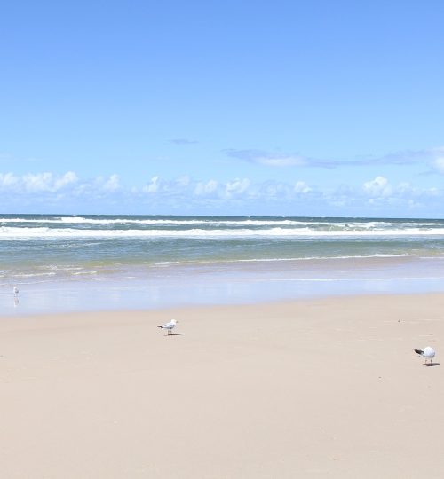 sea, pacific ocean, gold coast-2556263.jpg